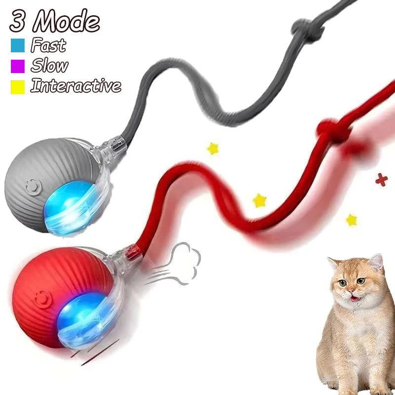 Automatic Rolling Rechargeable Toy Ball