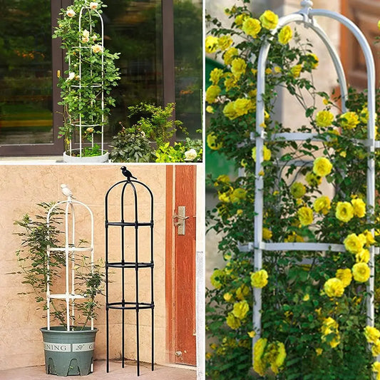 6ft Garden Obelisk Trellis