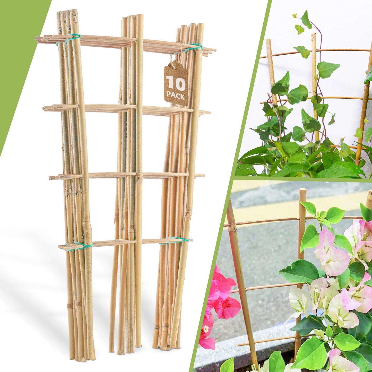 10 Pack Bamboo Trellis