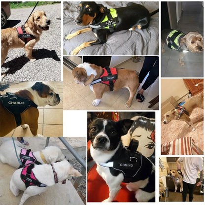 No Pull Reflective Breathable Adjustable Dog Harness