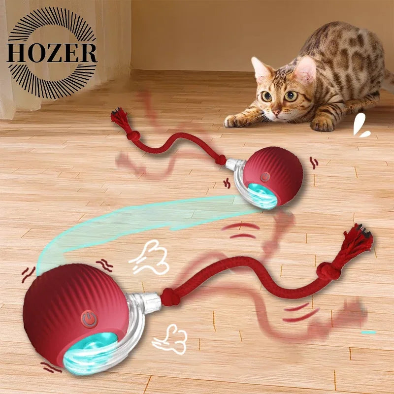 Automatic Rolling Rechargeable Toy Ball