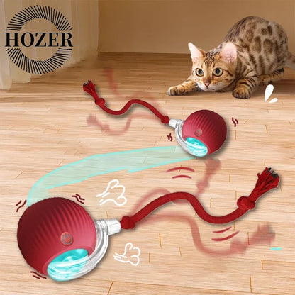Automatic Rolling Rechargeable Toy Ball