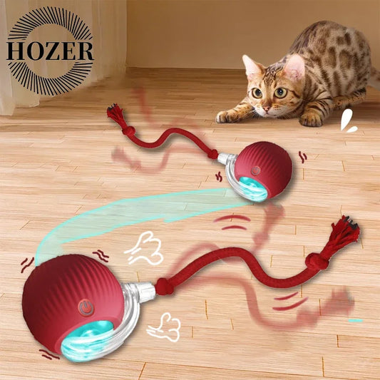Automatic Rolling Rechargeable Toy Ball
