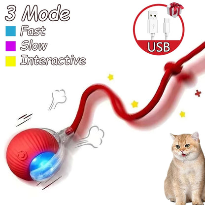 Automatic Rolling Rechargeable Toy Ball