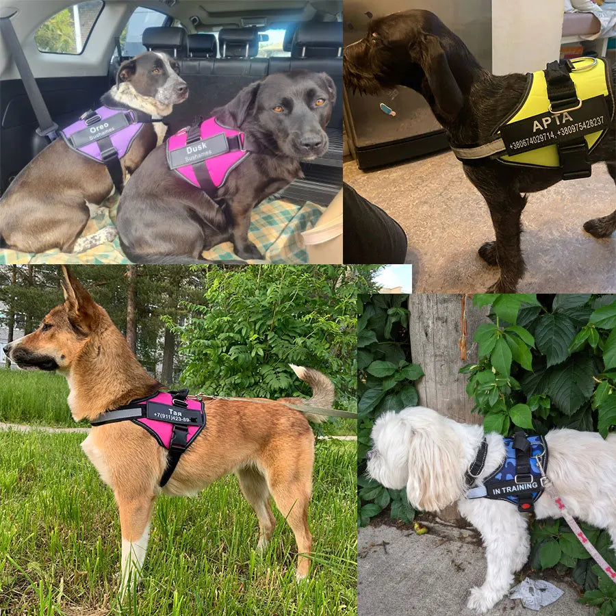 Personalized NO PULL Reflective Breathable Dog Harness