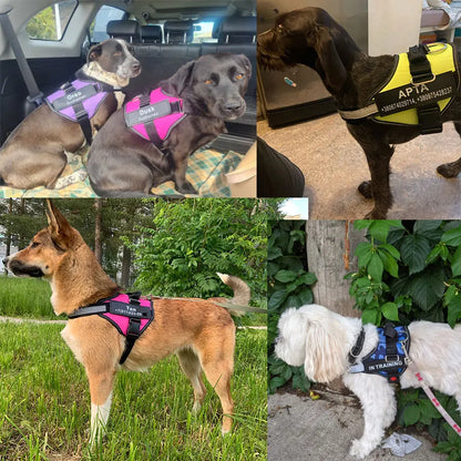 Personalized NO PULL Reflective Breathable Dog Harness