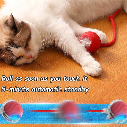 Automatic Rolling Rechargeable Toy Ball