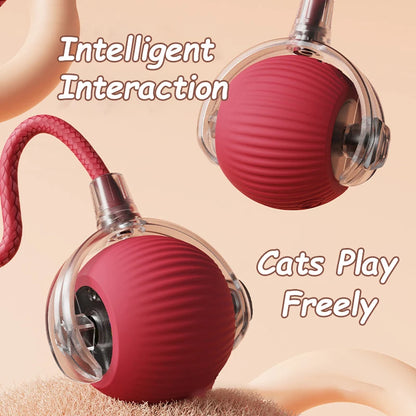 Automatic Rolling Rechargeable Toy Ball