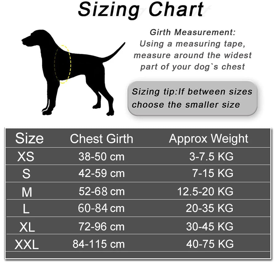 Personalized NO PULL Reflective Breathable Dog Harness