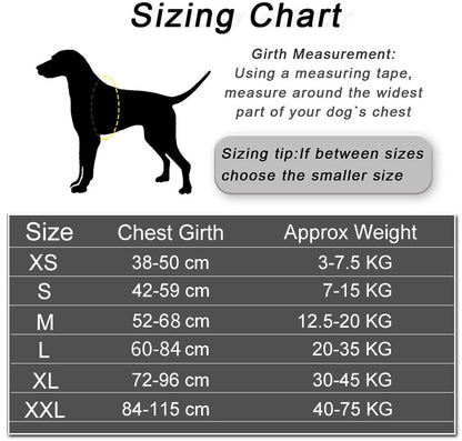 Personalized NO PULL Reflective Breathable Dog Harness