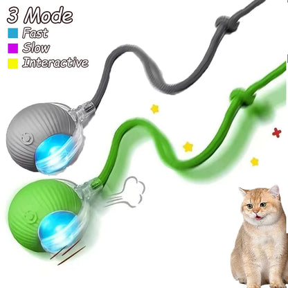 Automatic Rolling Rechargeable Toy Ball