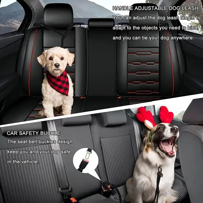 Shock Absorbing Reflective Pet Leash