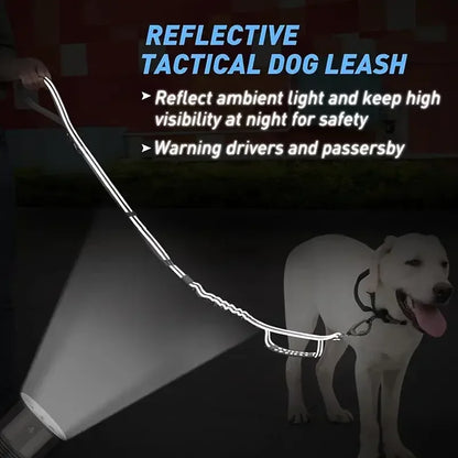 Shock Absorbing Reflective Pet Leash