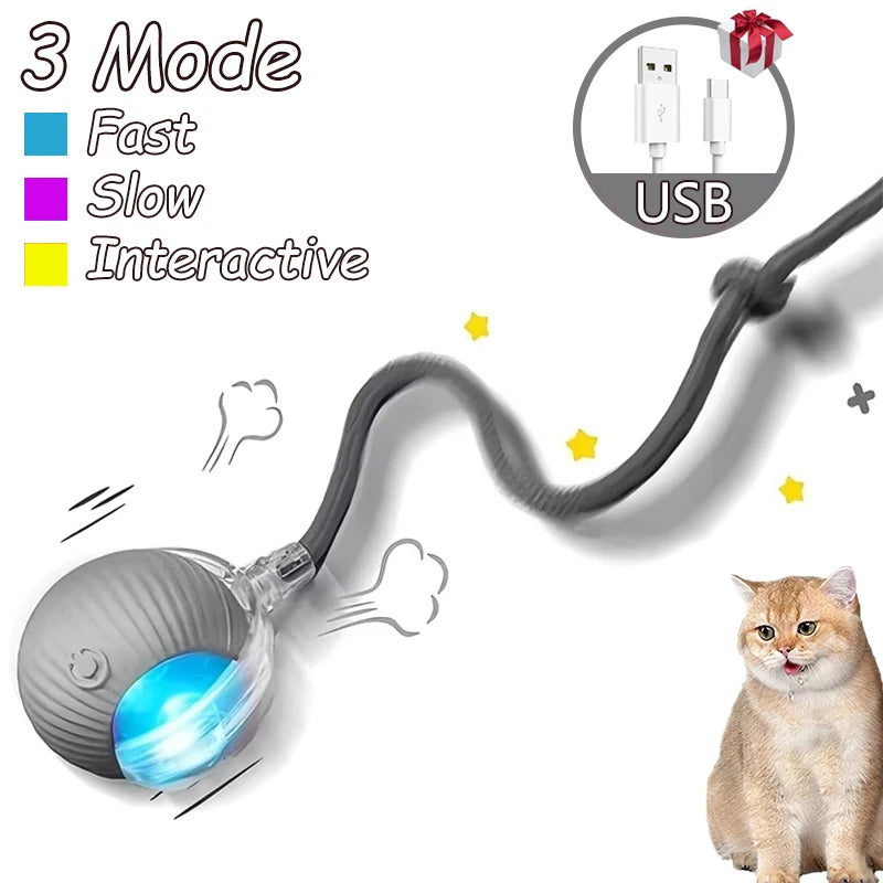 Automatic Rolling Rechargeable Toy Ball