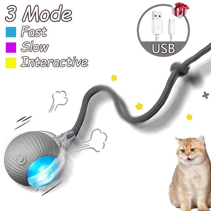 Automatic Rolling Rechargeable Toy Ball